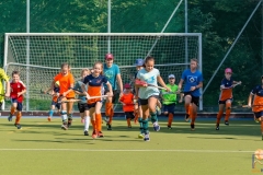 DSC_7047 Kopie