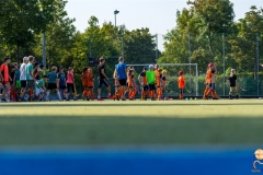 DSC_7077 Kopie
