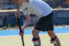 DSC_7083 Kopie