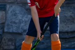 DSC_7087 Kopie