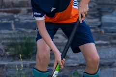 DSC_7089 Kopie