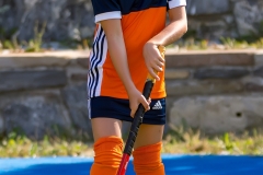 DSC_7093 Kopie