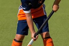 DSC_7107 Kopie