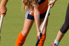 DSC_7108 Kopie