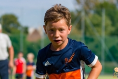 DSC_7157 Kopie