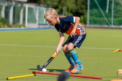 DSC_7320 Kopie