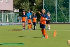 DSC_8390 Kopie