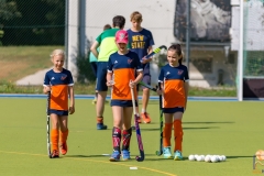 DSC_8661 Kopie