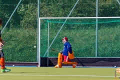 DSC_8256 Kopie
