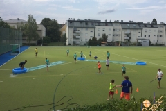 IMG_6944