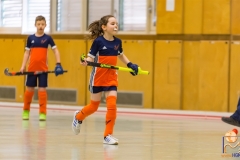 DSC_2734 Kopie