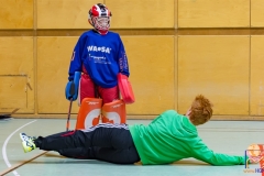 DSC_3102 Kopie