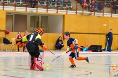 DSC_3324 Kopie