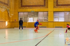 DSC_3365 Kopie