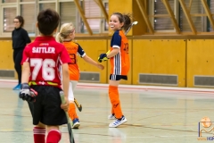 DSC_3442 Kopie