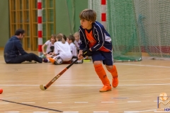 DSC_1348 Kopie