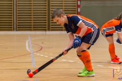 DSC_1351 Kopie