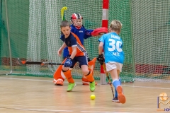DSC_1553 Kopie