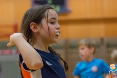 DSC_1666 Kopie