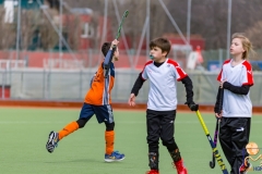 DSC_3730 Kopie