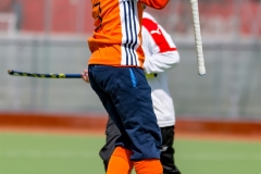 DSC_3810 Kopie