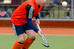 DSC_3917 Kopie