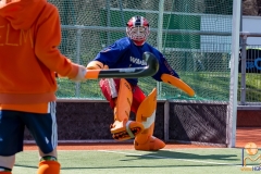 DSC_4409 Kopie