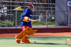 DSC_4420 Kopie