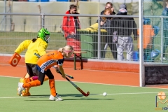 DSC_4530 Kopie