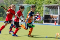 U9 Turnier Mödling 201834